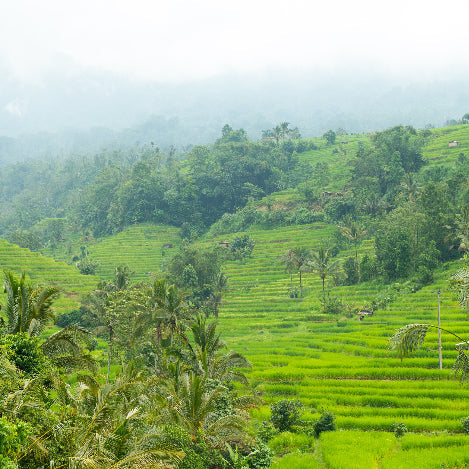 Coffee Prices Soar: Why Coffee Costs Are Rising and How We’re Keeping Prices Low