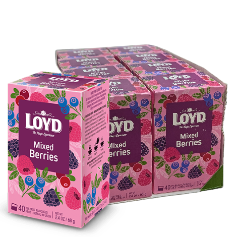 Loyd Mixed Berries Tea Bags - Full Case (8 x 40 Bags) - Discount Coffee